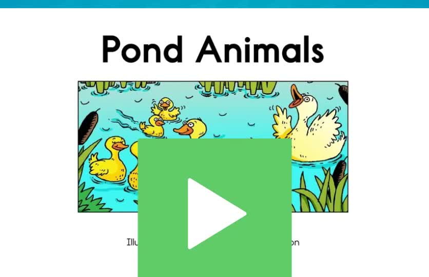 A-01 Pond Animals
