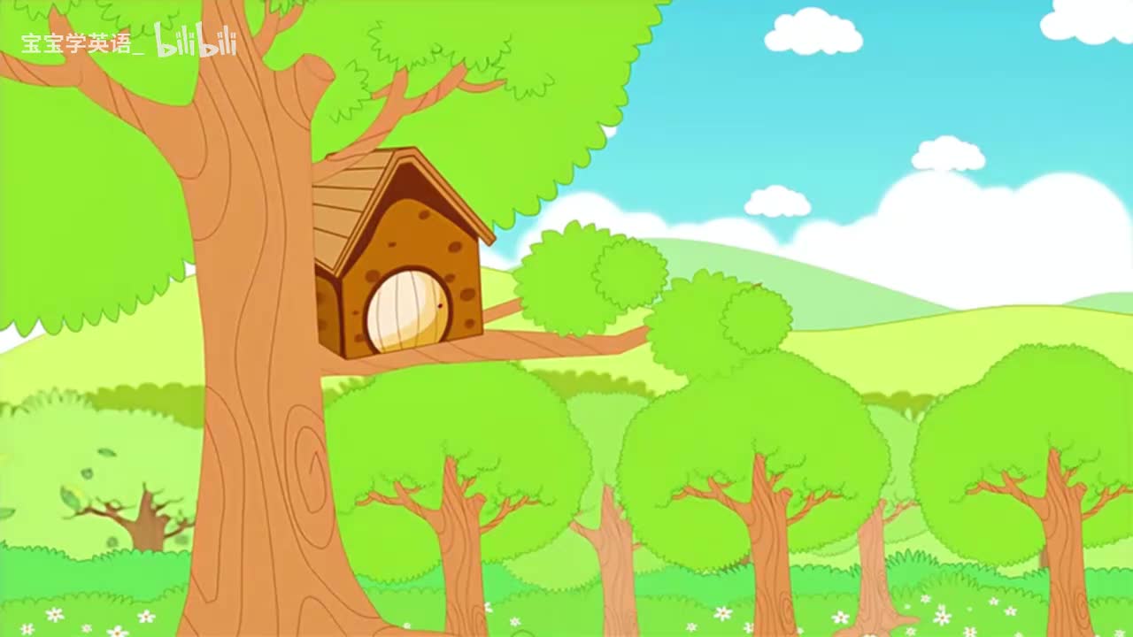 05.鸟类英语单词