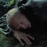 Andrei Tarkovsky 塔科夫斯基的电影感“移”镜头从哪里来？