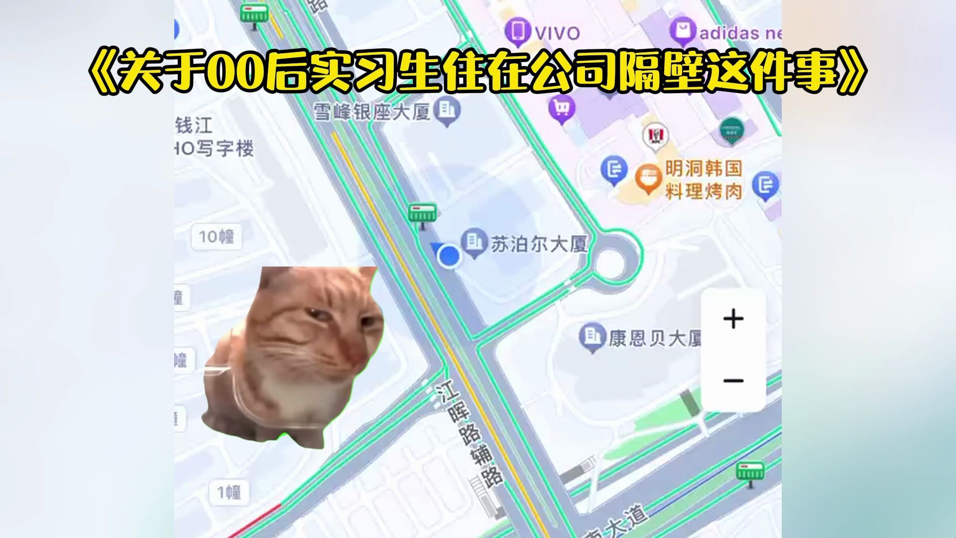 【猫meme】住在公司隔壁是什么体验哔哩哔哩bilibili