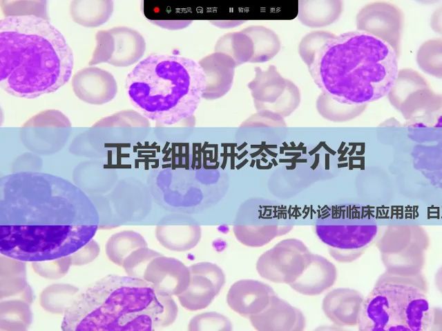 第二期:《外周血细胞正常形态介绍》哔哩哔哩bilibili