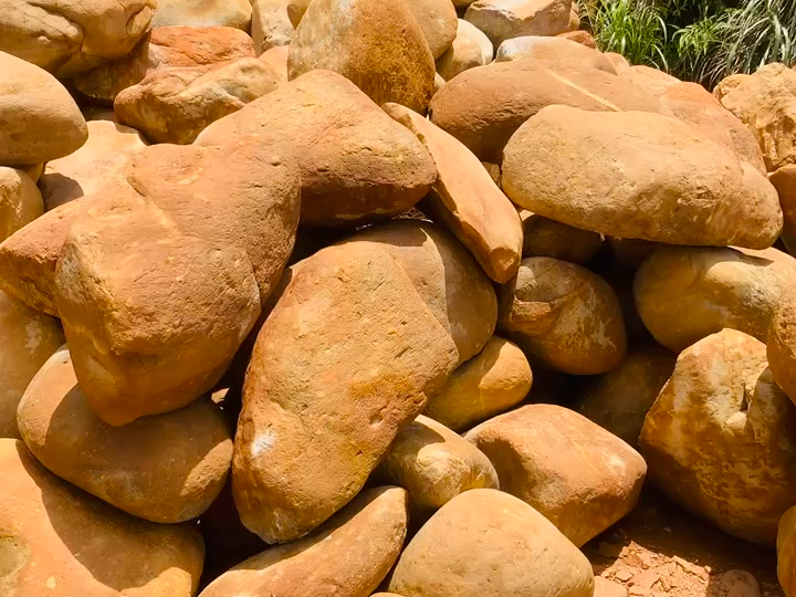 学校黄蜡石批发,广东黄蜡石厂家,创景奇石大量现货