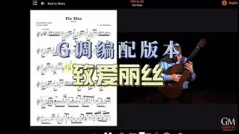 Download Video: 《致爱丽丝》G调版本