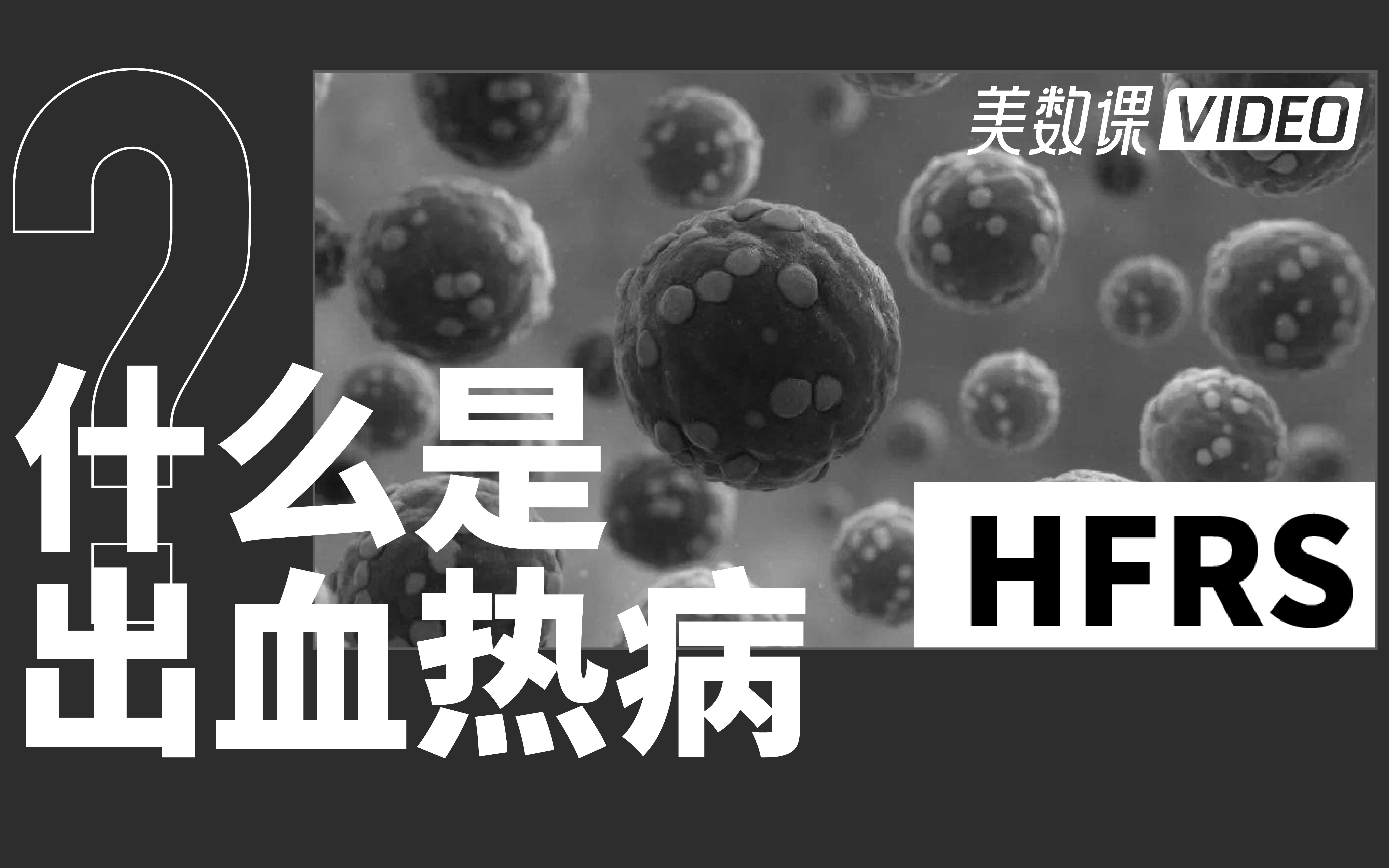 70年感染数据,出血热为何仍频繁出现在我们身边哔哩哔哩bilibili