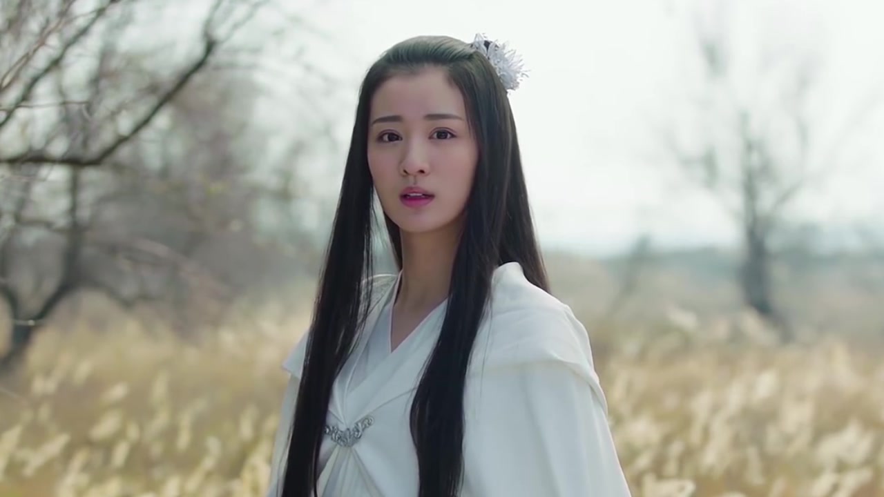 【我的一个道姑朋友】将军在上柳惜音|叶昭(pr试水)论如何用一集的