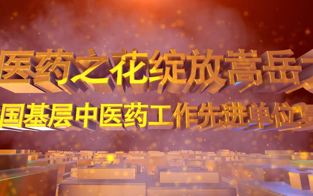 让中医药之花绽放嵩岳大地——登封市全国基层中医药工作先进单位复审纪实哔哩哔哩bilibili