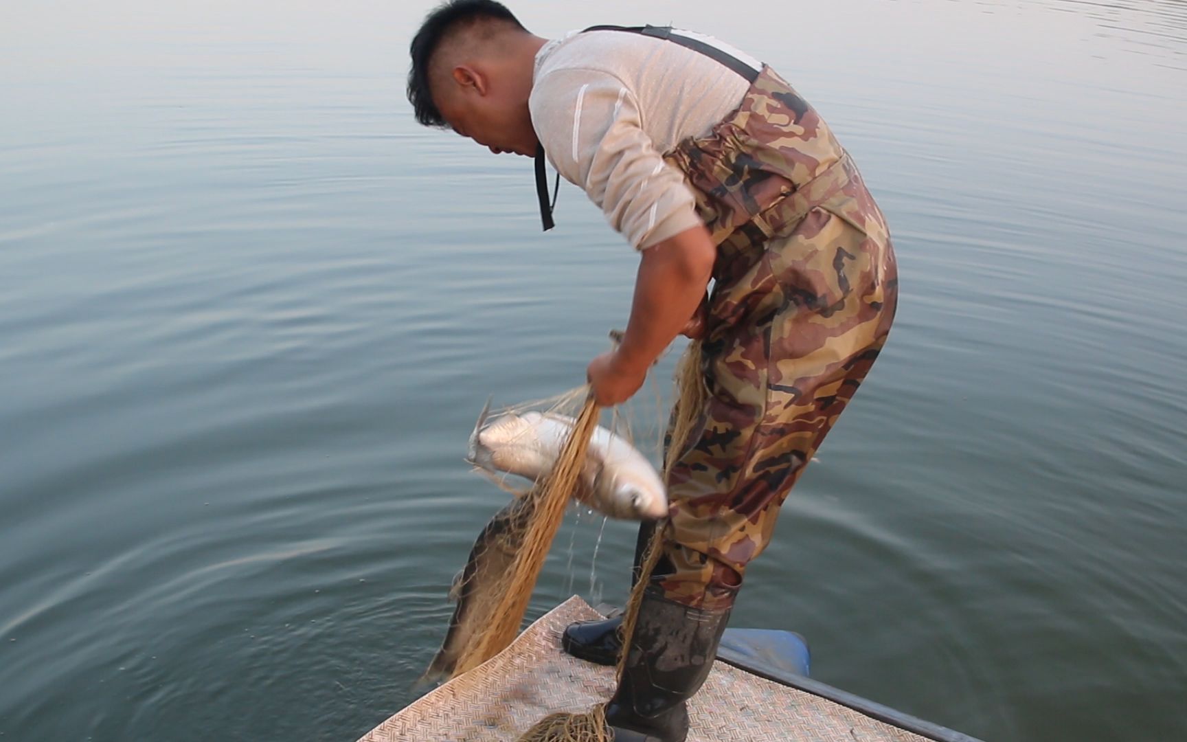 户外小猛哥小猛哥在朋友水库撒网六指眼网撒得真漂亮上了3条大货真