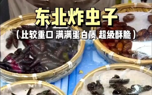 [图]第一次吃炸昆虫，一共20多种！满满都是蛋白质吃到最后有点精神恍惚....