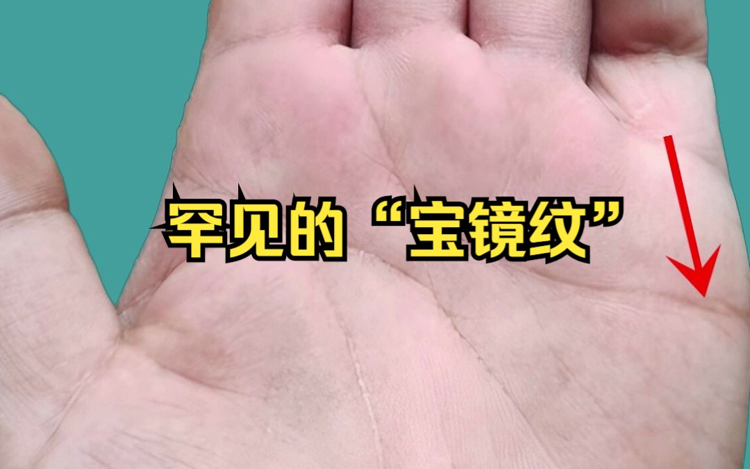 罕见的“宝镜纹”哔哩哔哩bilibili