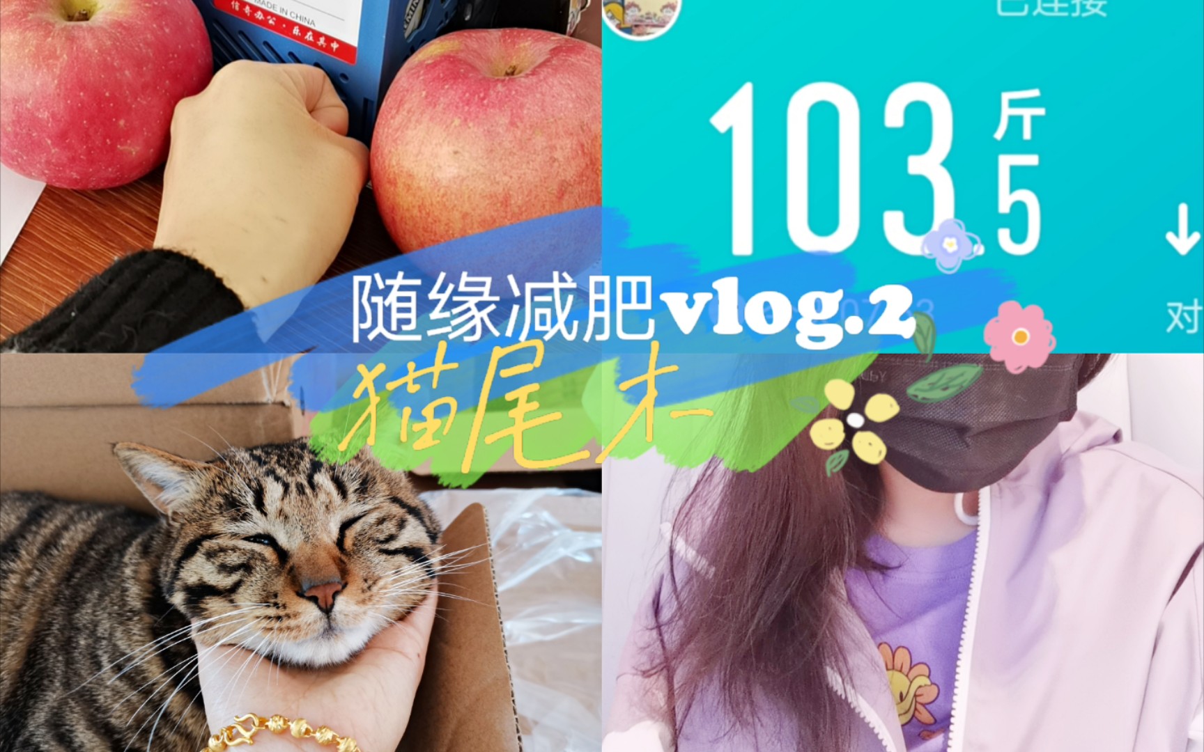 减肥vlog.2/猫尾木的随缘减肥日常记录、五天轻断食、撸猫~1哔哩哔哩bilibili