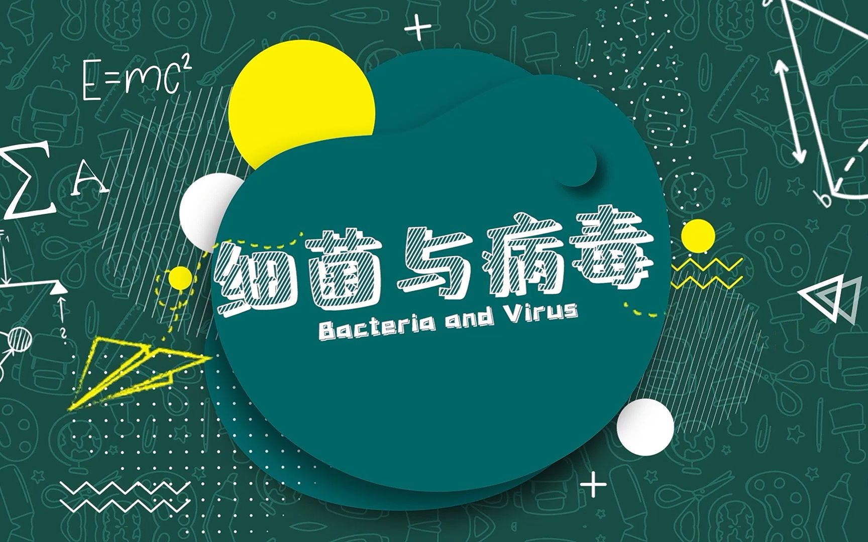 细菌与病毒无法用肉眼观察到,那它们是如何被人类发现的呢?哔哩哔哩bilibili