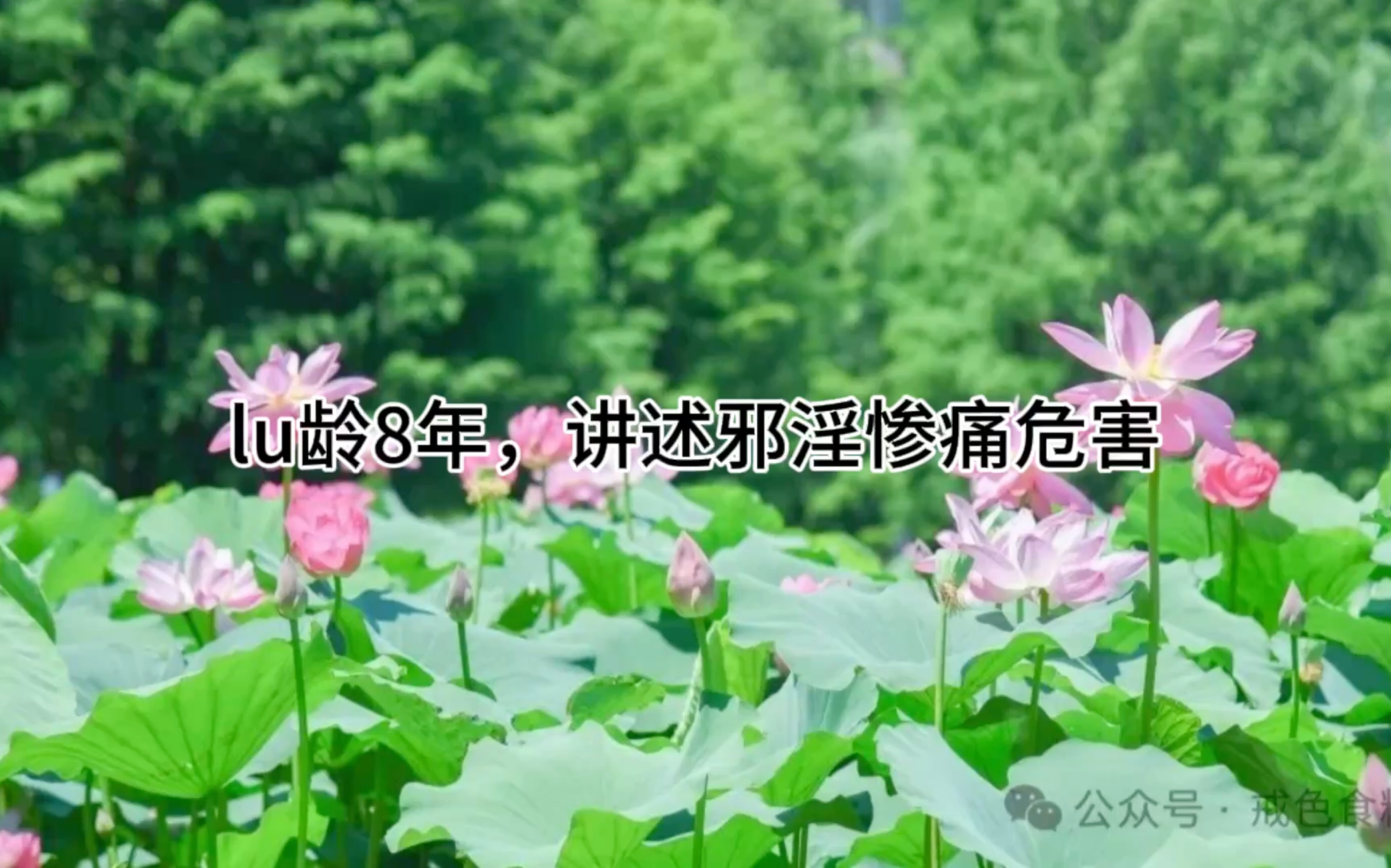 lu龄8年,讲述xy惨痛危害