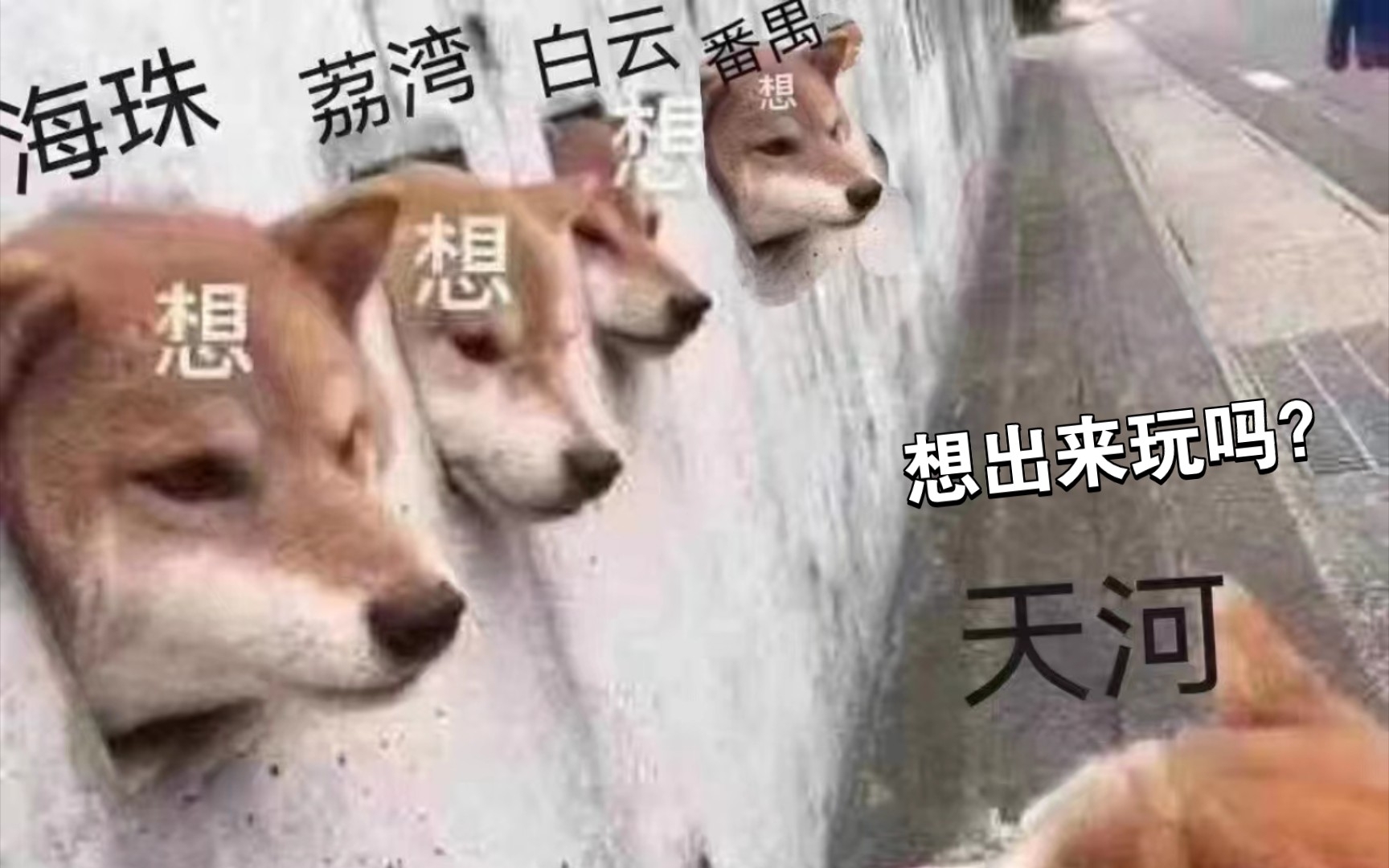 广州天选之人,到底能做什么?哔哩哔哩bilibili