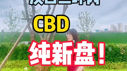 汉口二环内CBD纯新盘,即将开盘,劲爆价格!没有不利因素,性价比高,你们会出手吗?哔哩哔哩bilibili