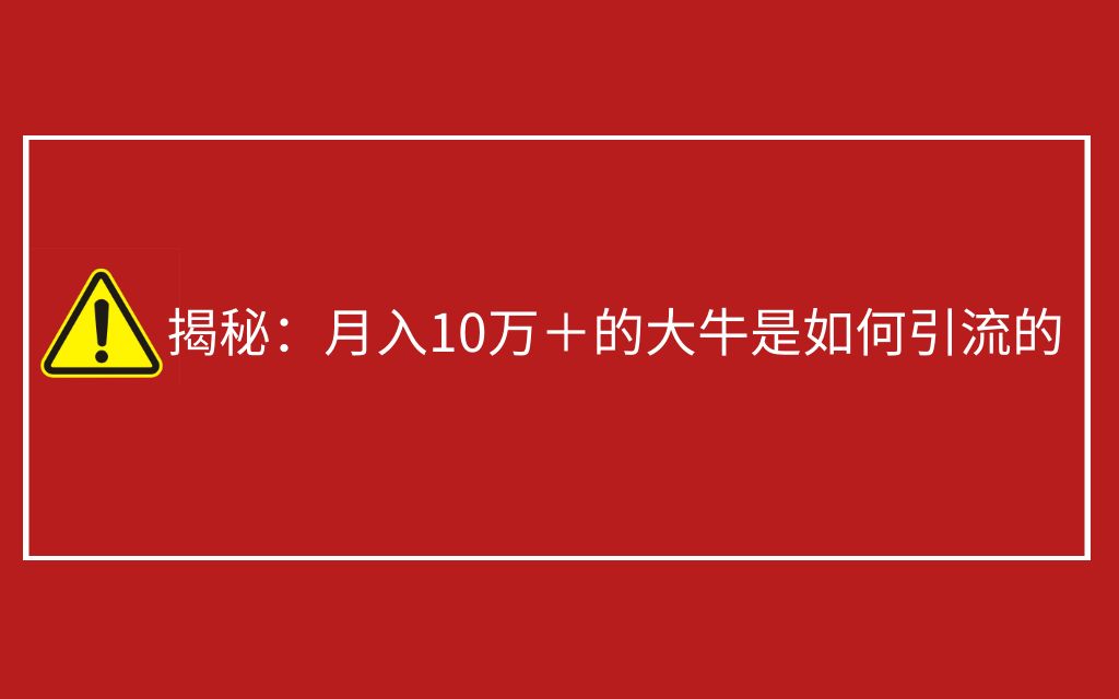 揭秘:月入10万+的大牛是如何引流的(上)哔哩哔哩bilibili