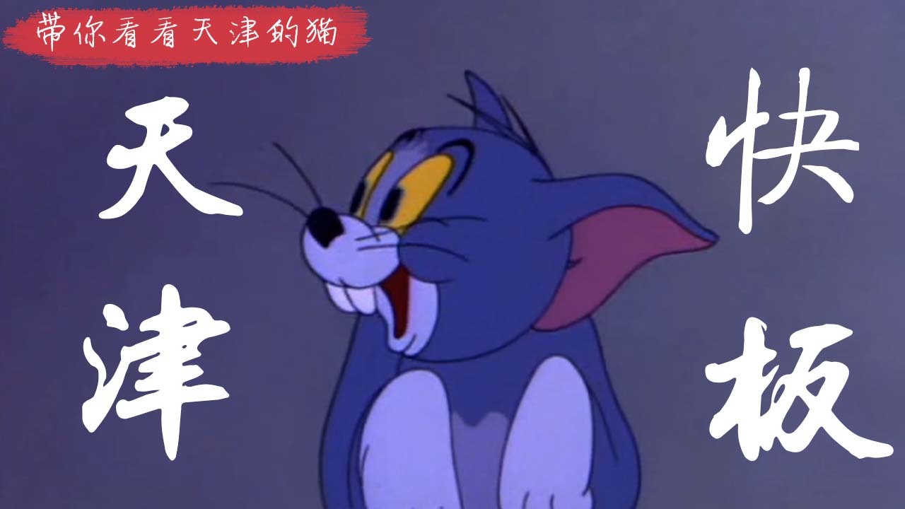 用天津快板的方式打开猫和老鼠,说天津话的汤姆猫