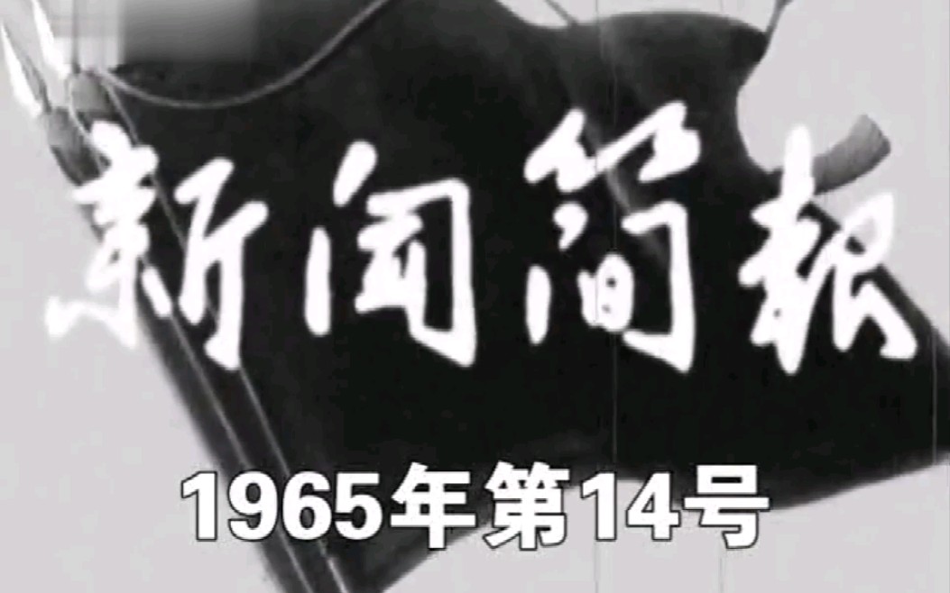 [图]新闻简报1965年第14号