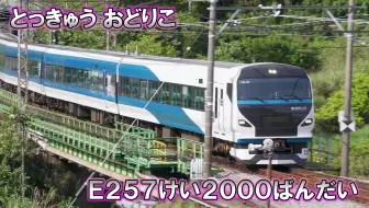 Railwaymovies 多姿多彩的115系电车在新瀉地区剩下的国铁近郊型电车115系 日本全部的115系 哔哩哔哩 Bilibili