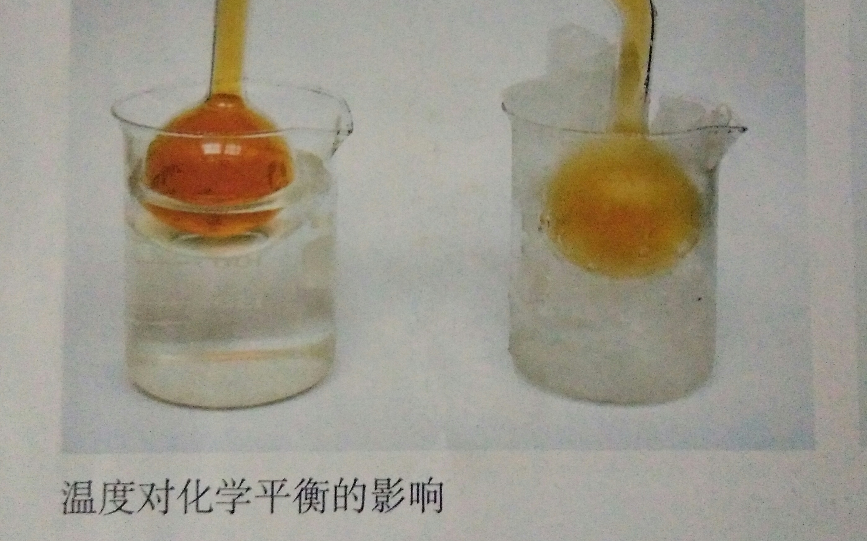 平衡球实验【虽然我也觉得尬,但你说出来我就是会不高兴】