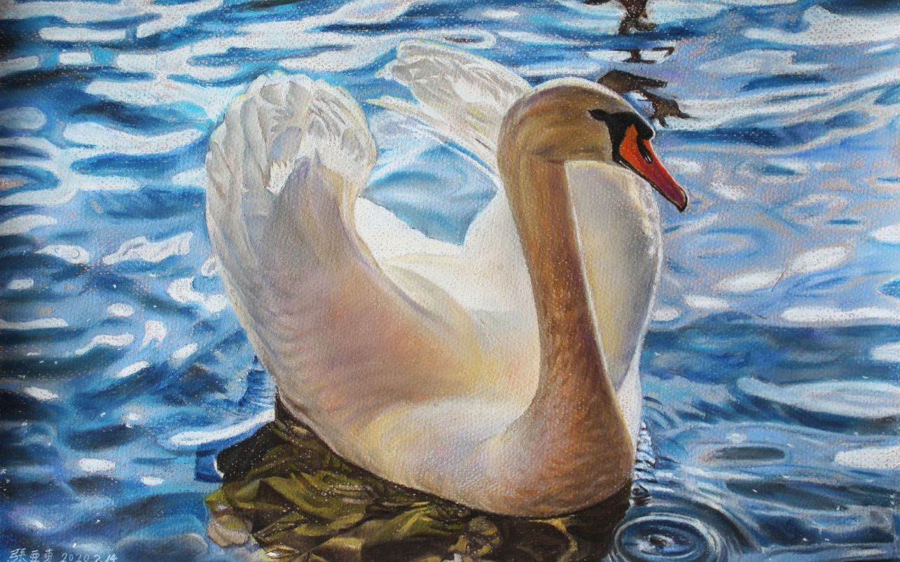 色粉画《天鹅》