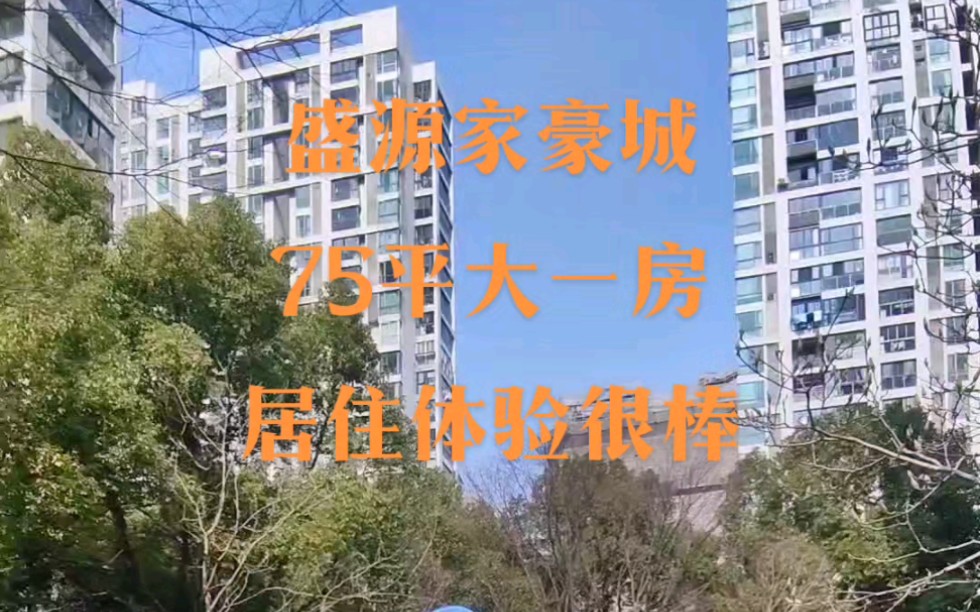 坐在阳台就能看到东方明珠塔,关键小区停车还方便,这种房子你受得了吗!哔哩哔哩bilibili