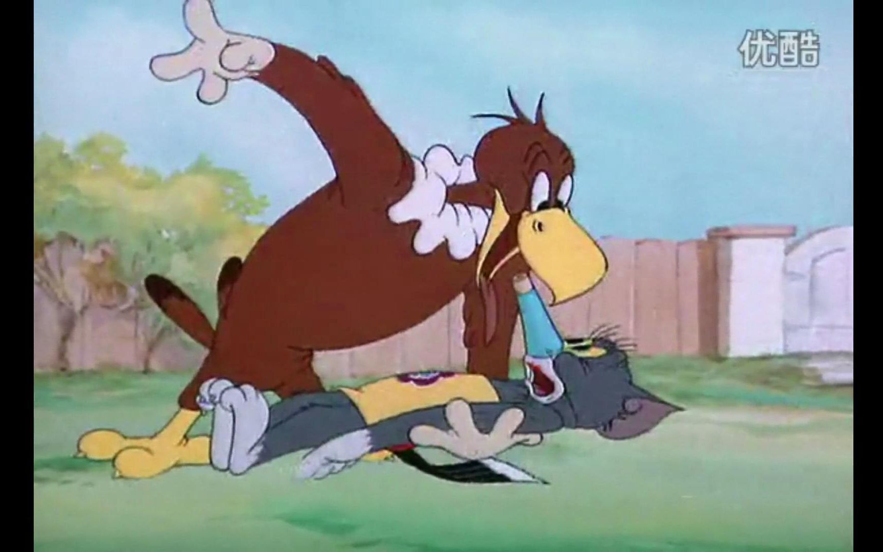 【倒放版猫和老鼠】:一只老鼠绽放的禁忌之恋_哔哩哔哩 (゜-゜)つロ