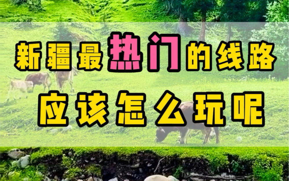 2024新疆最热门的旅游线路来了,你只需要准备好10天的时间,这样安排,费用不高,价格便宜到你不敢想,视频的结尾有具体的费用标准哔哩哔哩bilibili