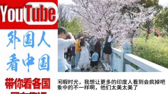 Tải video: 印度美女在我国踏青赏花，印度网友：我们还在做超级大国的美梦！