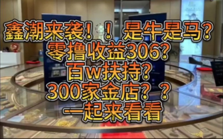 鑫潮还是比较看好的,毕竟线下产业确实nb,是nb还是牛马,一起来看看哔哩哔哩bilibili