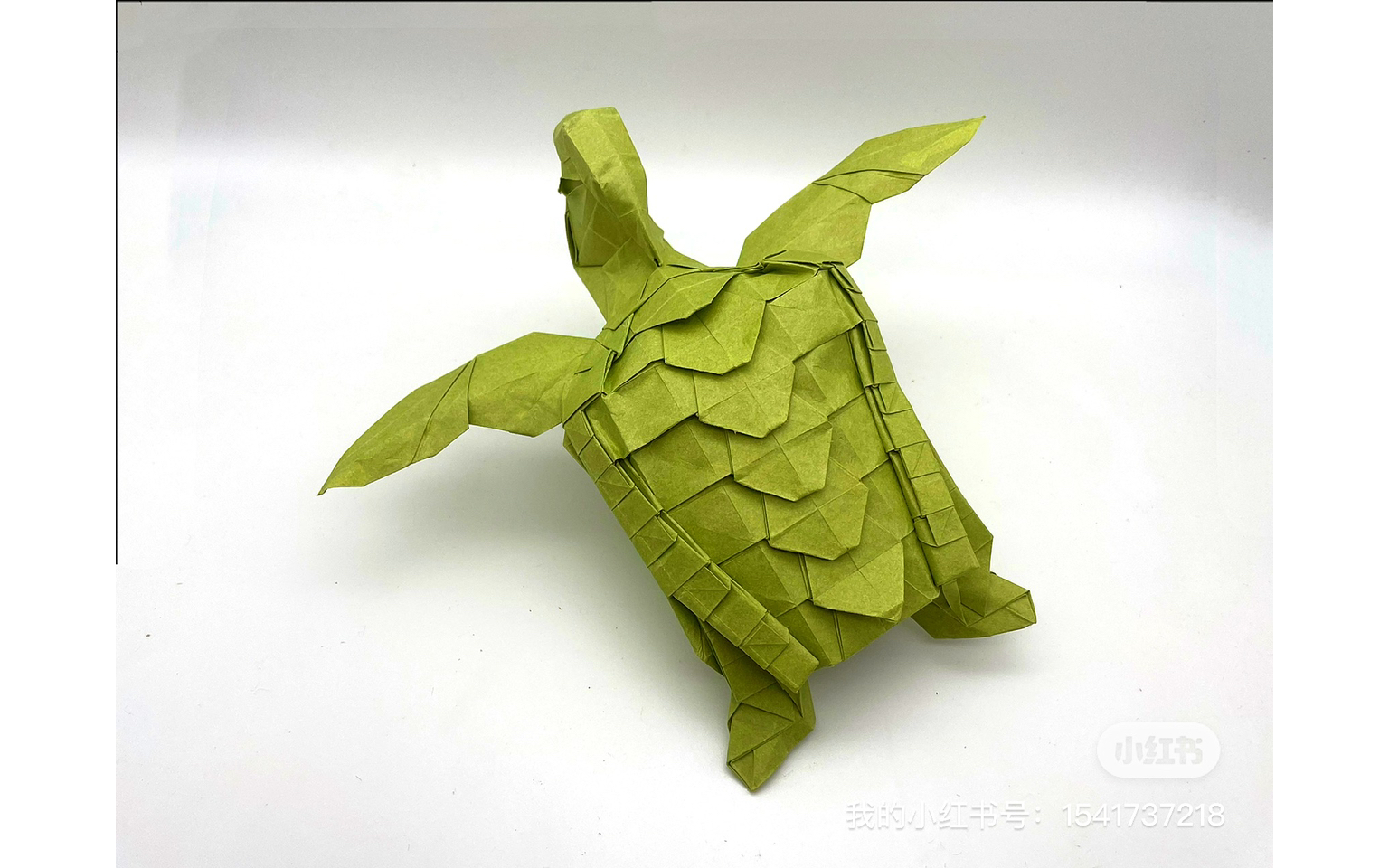 【折纸】海龟-最后的整形很耗时