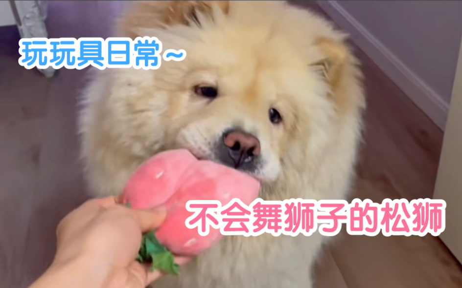 捕猎小草莓日常哔哩哔哩bilibili