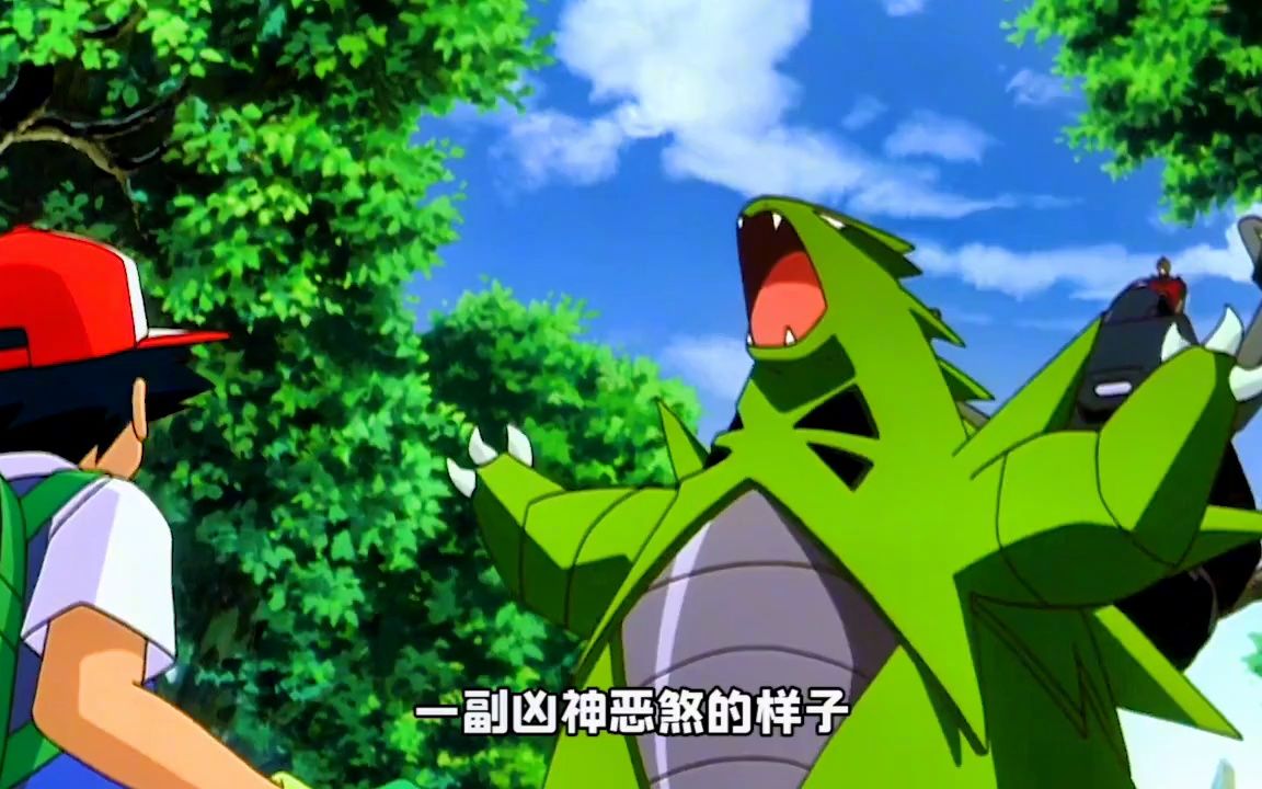 盘点准神家族里的特殊存在#神奇宝贝 #宝可梦 #精灵宝可梦