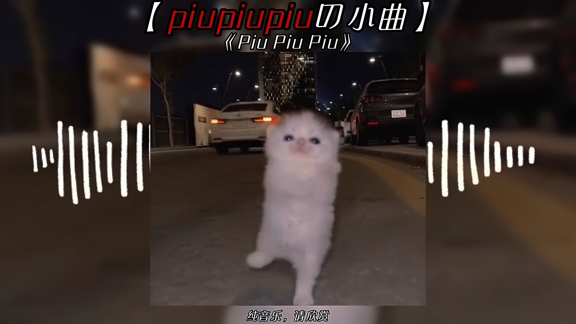 【piupiupiuの小曲】《Piu Piu Piu》
