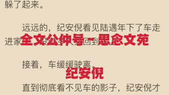 火爆小说推荐《纪安倪陆遇年》全章节小说又名《纪安倪陆遇年》哔哩哔哩bilibili