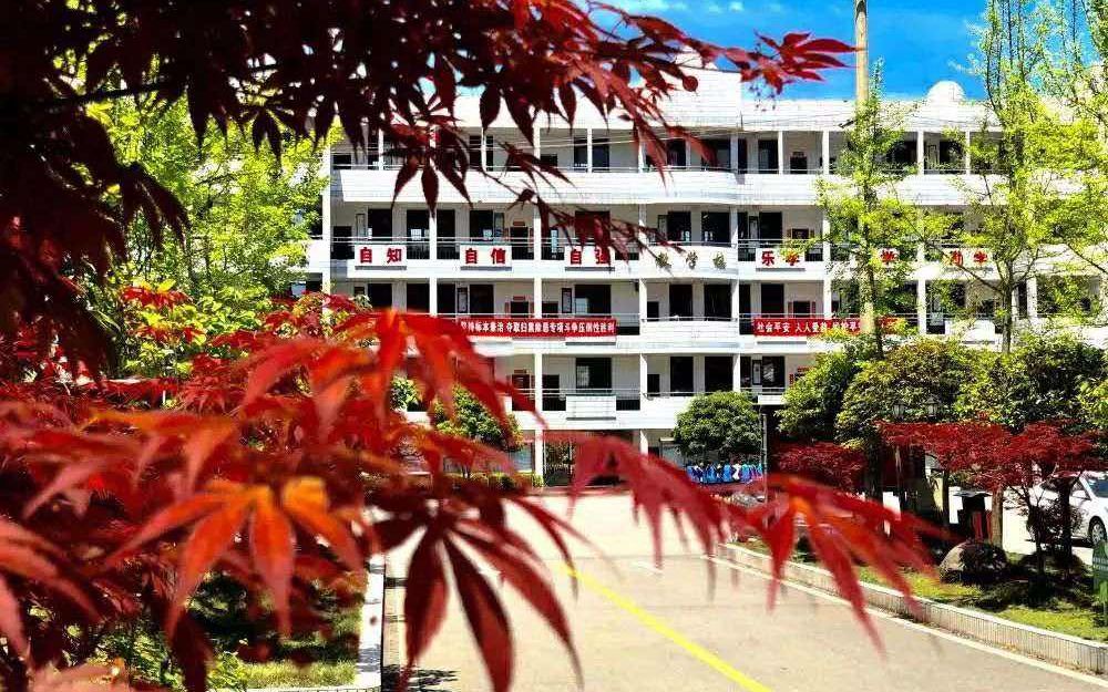 文家市中学学生午睡 午自习 浏阳市