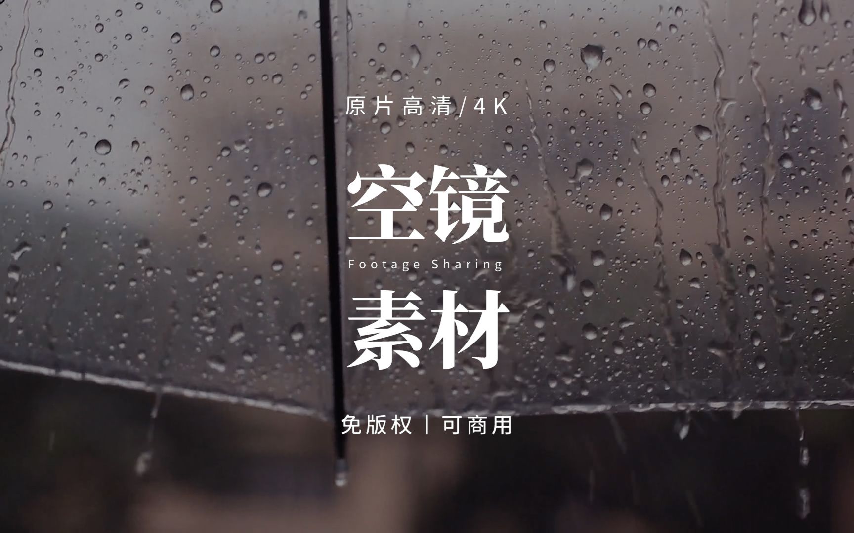 [图]【免版权空镜】秋枝 雨天 孤独 失落 （情绪不太好的话,慎点！！）