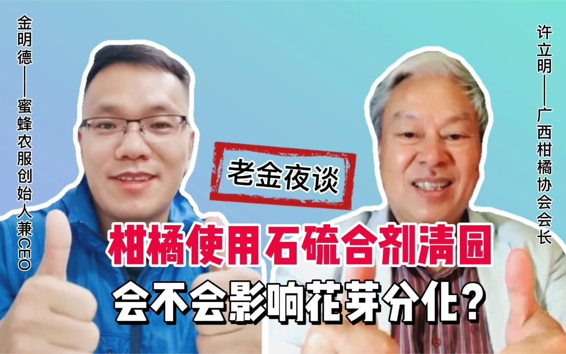 柑橘使用石硫合剂清园,会不会影响花芽分化?老金夜谈许会长详解哔哩哔哩bilibili