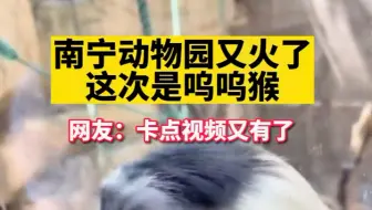 南宁动物园的呜呜猴，火了！动物的迷惑行为 南宁动物园