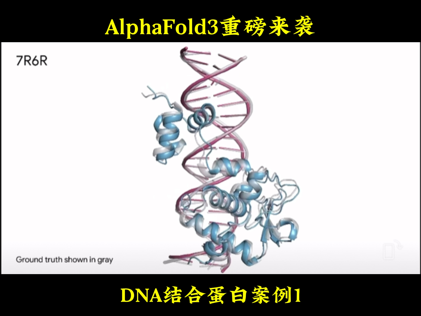 Alphafold3DNA结合蛋白案例来了:不仅能预测结构,还能预测分子之间的相互作用!哔哩哔哩bilibili