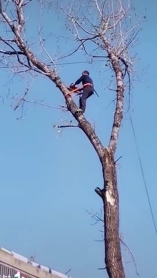 [图]拿命讨生活！！