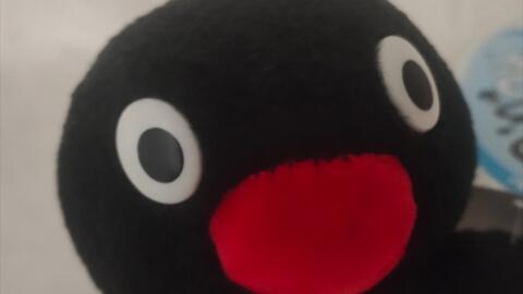Stream NOOT NOOT Theme Song but Pingu is GIGACHAD [Lacrimosa x Can