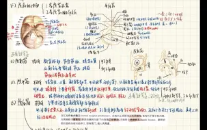 Descargar video: 霍琨系统解剖学笔记手写版（补充相应书本细节）