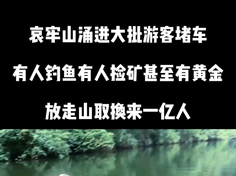 放走山取换来一亿游客!哀牢山竟爆火堵车,黑熊巨蟒吓到社恐 #哀牢山旅游 #山取 #哀牢山景区 #哀牢山堵车 #云南虫谷哔哩哔哩bilibili