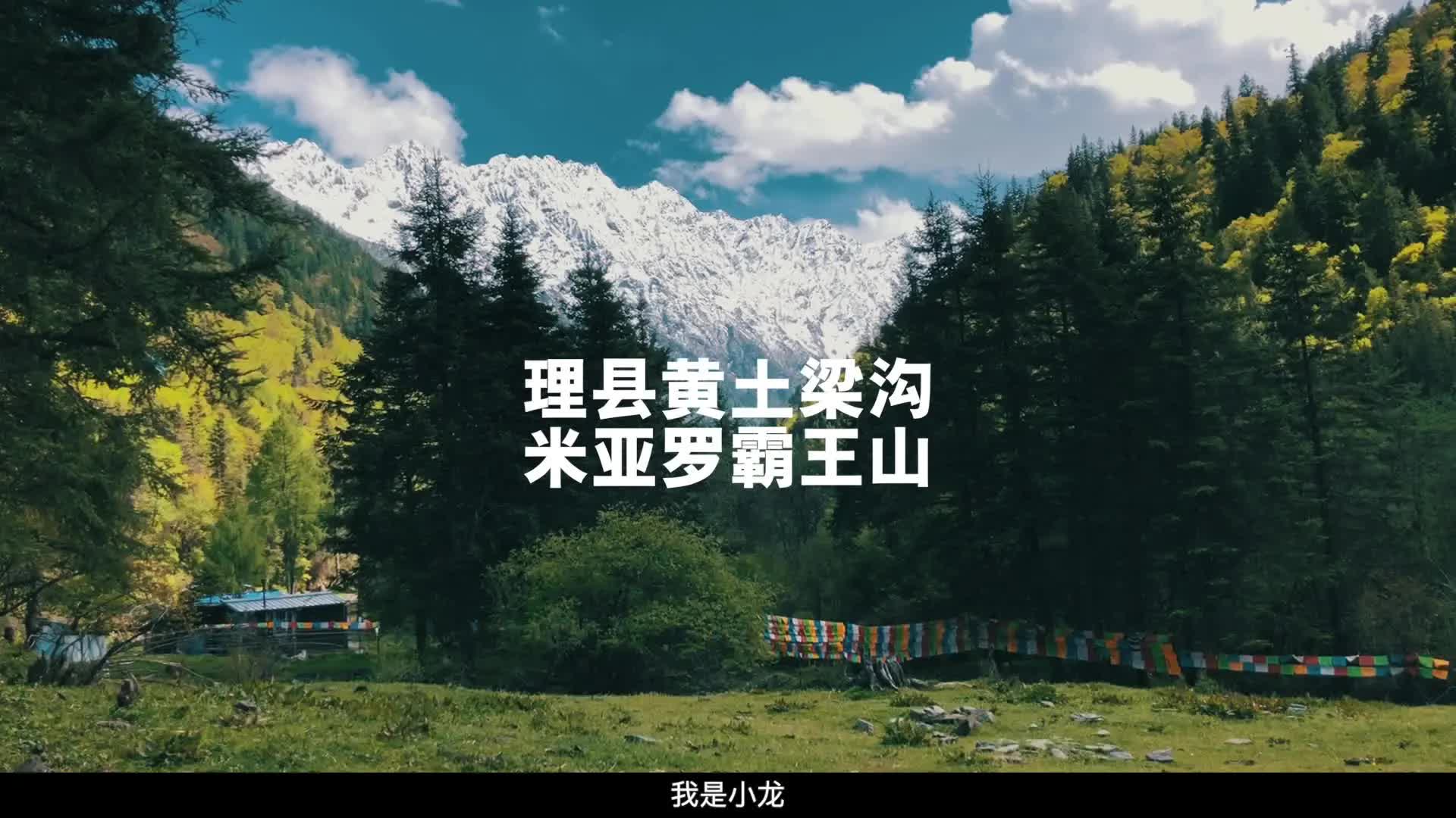 成都出发往返两天的小众自驾地,米亚罗霸王山,未开发的森林秘境,末尾有攻略霸王山哔哩哔哩bilibili