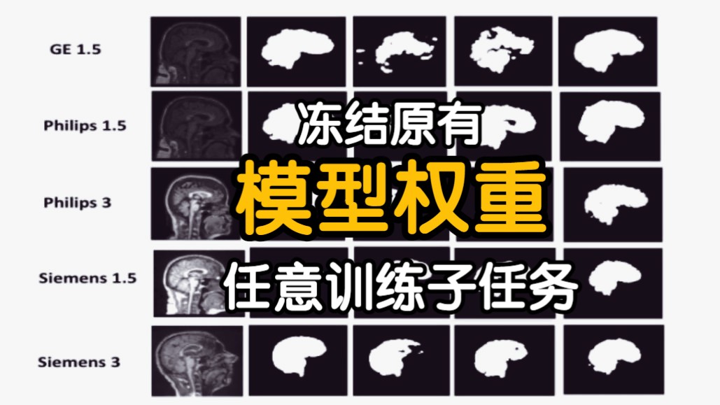 深度学习必备基本功:网络训练小技巧之冻结原有模型权重,任意训练子任务!哔哩哔哩bilibili