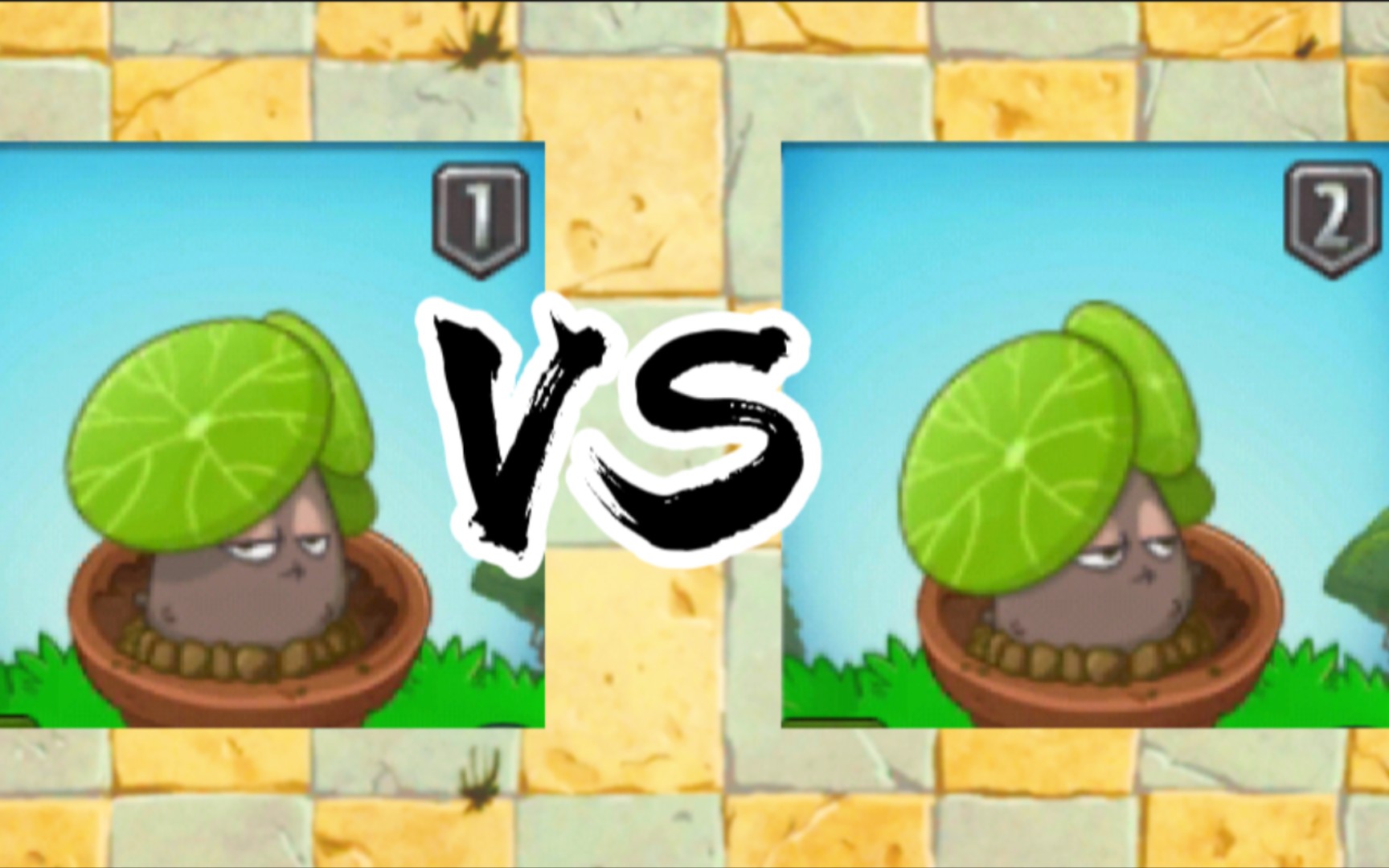 2植物秀(9):1,2阶千金藤实战对比(没想到结果竟然.).