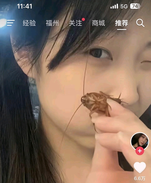 抓住了蝉,就抓住了整个夏天哔哩哔哩bilibili