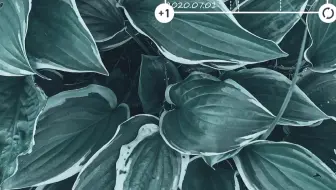 今天晚上朋友圈图片修图全过程