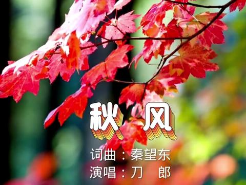 刀郎演唱的《秋风》,歌词虽描述了四季,却道尽了人生;旋律优美深入