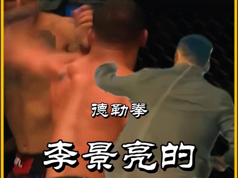 钱德勒精髓“李式星辰拳”哔哩哔哩bilibili